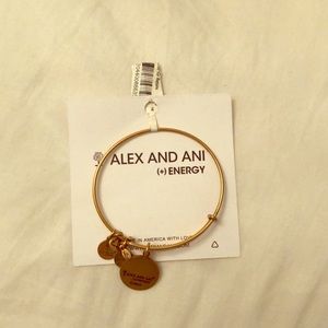 Alex & Ani bracelet